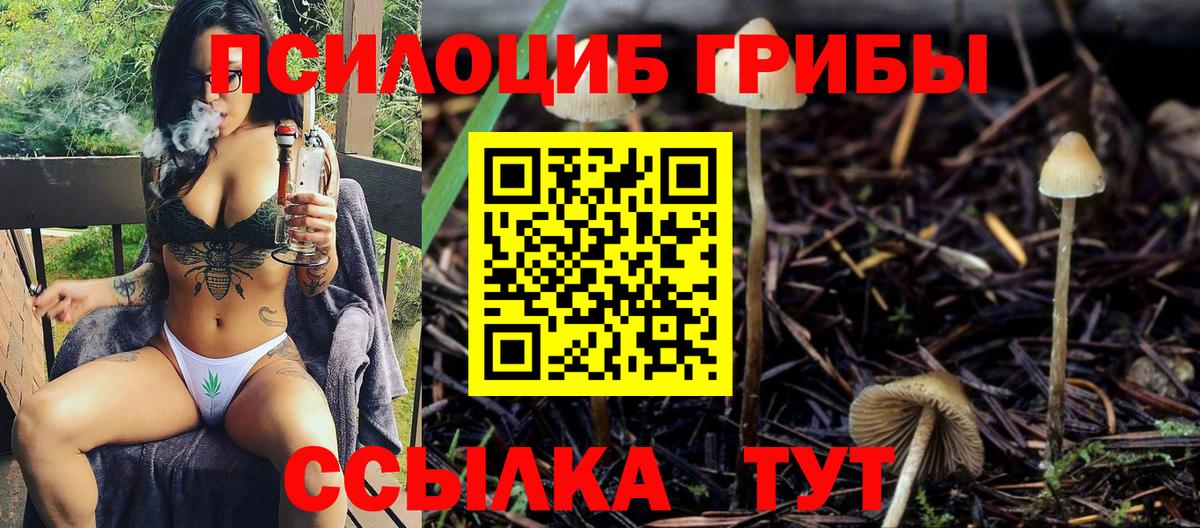 Галлюциногенные грибы GOLDEN TEACHER  Галлюциногенные грибы ЛСД  Отрадное  Вход с VPN 